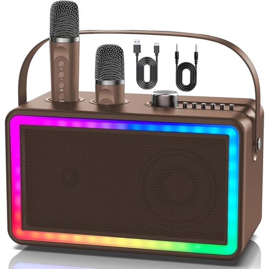 Machine Karaoké Rétro - Enceinte Bluetooth avec 2 Micro Sans Fil