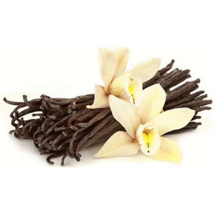 20 gousses de vanille-Bourbon de Madagascar (sous vide) - qualité Supérieure 12-13 cm