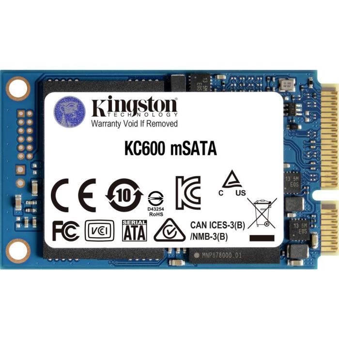 Kingston 256 GB SSD mSATA interne SATA 6 Gb/s au détail SKC600MS/256G