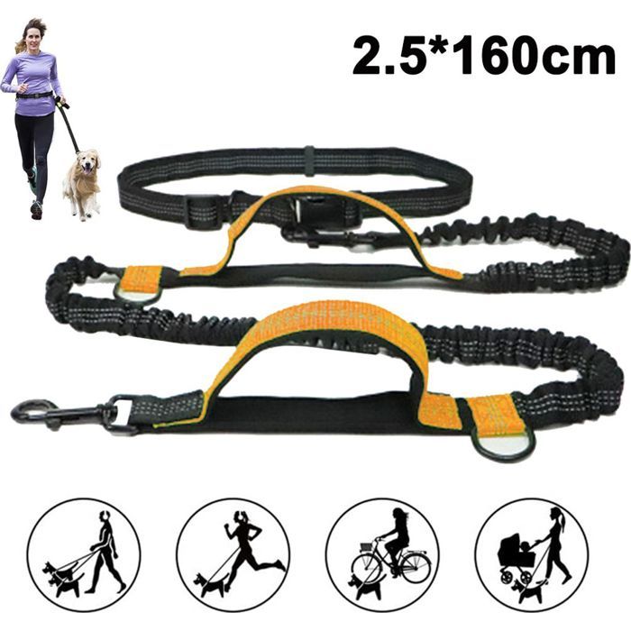Meilleurs prix pour Laisse de jogging Dog-Friend pour grands chiens à partir de 15 kg  Laisse élastique mains libres avec sangle ventrale légère