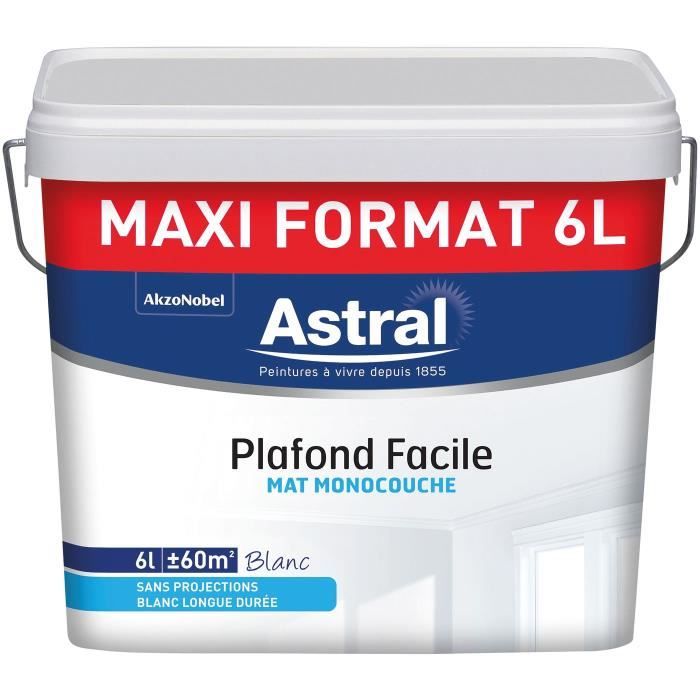 Peinture Plafond Monocouche Facile Mat 6 L Blanc Achat Vente Peinture Vernis Peinture Plafond Monocouche Fa Cdiscount