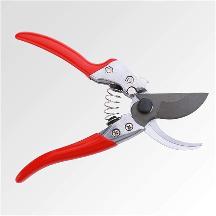 Sécateur Plantes D'Intérieur Jardin Sécateur, Heavy Duty Sharp Tondeuse