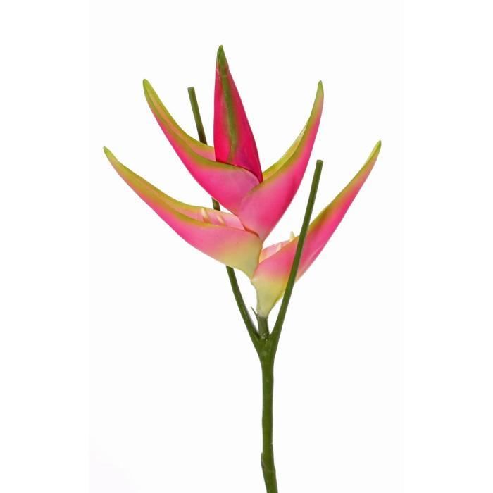 Artplants Fleur de heliconia artificielle TOMKE, rose fuchsia-vert, 80cm,  Ø30cm - Fausse fleur - Fleur exotique artificielle - Cdiscount Maison