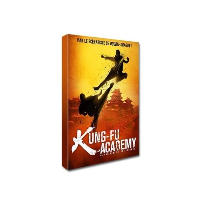 DVD Kung-Fu academy La naissance d'une légende