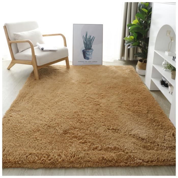 Tapis Doux Moelleux Lavable Tapis De Salon Shaggy Unicolore Argent 160