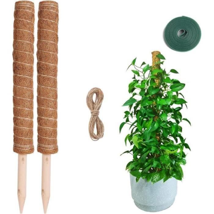 2 Tuteurs Pour Plantes Grimpantes En Fibre De Coco Pliables - Hauteur 120 Cm - Avec Attaches Et Ficelle - Pour Monstera, Lierre, Etc.