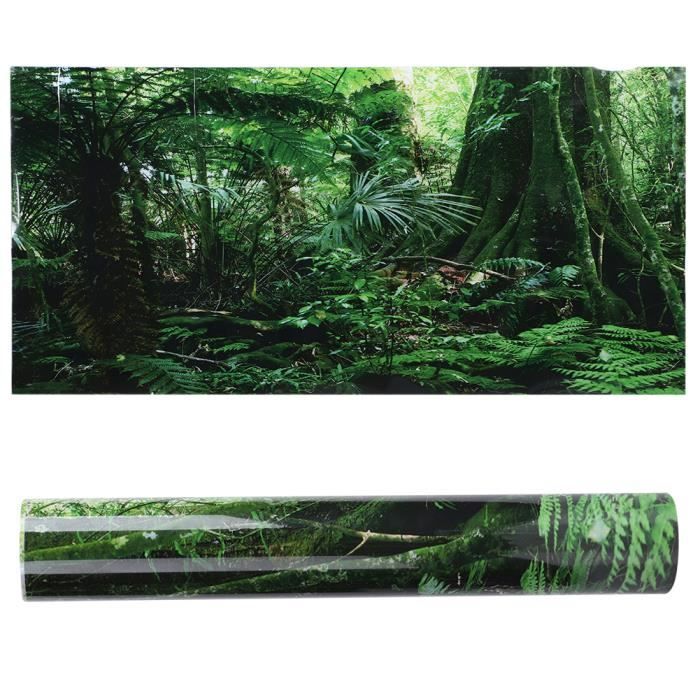 Autocollant pour aquarium - Shipenophy - PVC - 61x30cm à 122x46cm - Reptile - Décoration tropicale