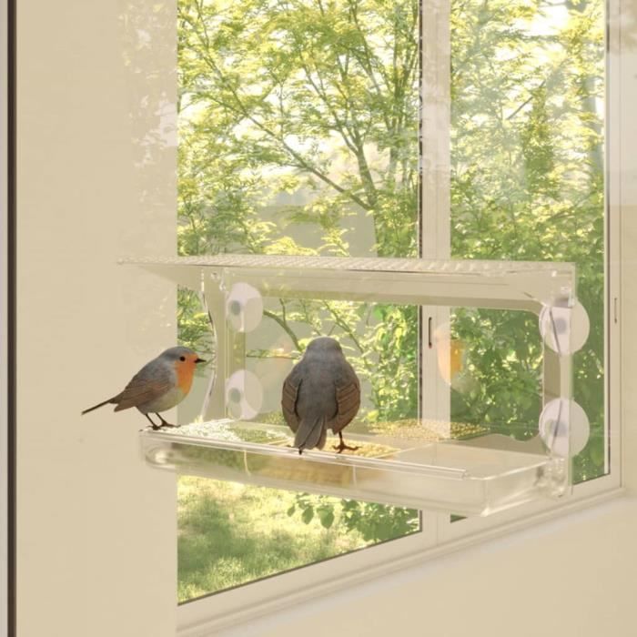 Mangeoire de Fenêtre, Mangeoires pour Oiseaux Exterieur, Clair Acrylique  Suspendus Fenêtre Mangeoire à Oiseaux, fenêtre Mangeoire à Oiseaux avec Une