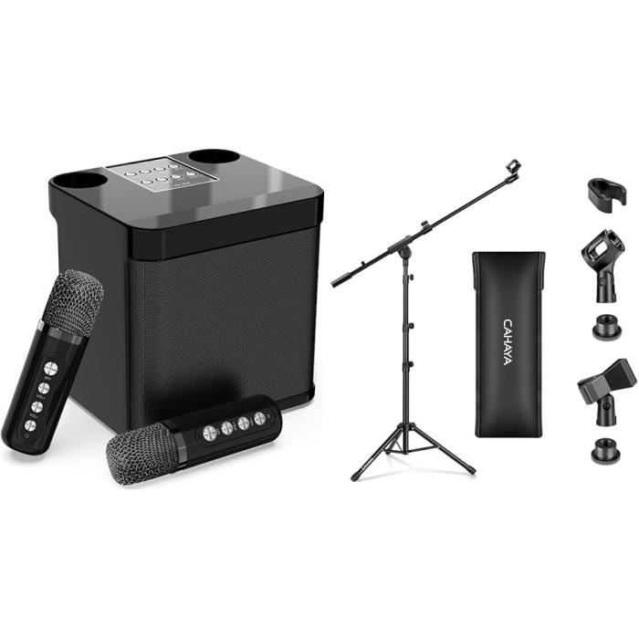Lot De 2 Microphones Sans Fil Avec Récepteur Sans Fil, Professionnel