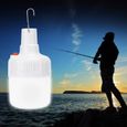 14LED charge camping ampoule lumière portable tente lumière extérieure éclairage de secours 100-250 v(Prise américaine )-1