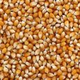 Maïs pour pop corn - 800 grammes - Produit en France-1