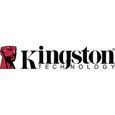 Kingston 256 GB SSD mSATA interne SATA 6 Gb/s au détail SKC600MS/256G-1