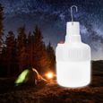 14LED charge camping ampoule lumière portable tente lumière extérieure éclairage de secours 100-250 v(Prise américaine )-2
