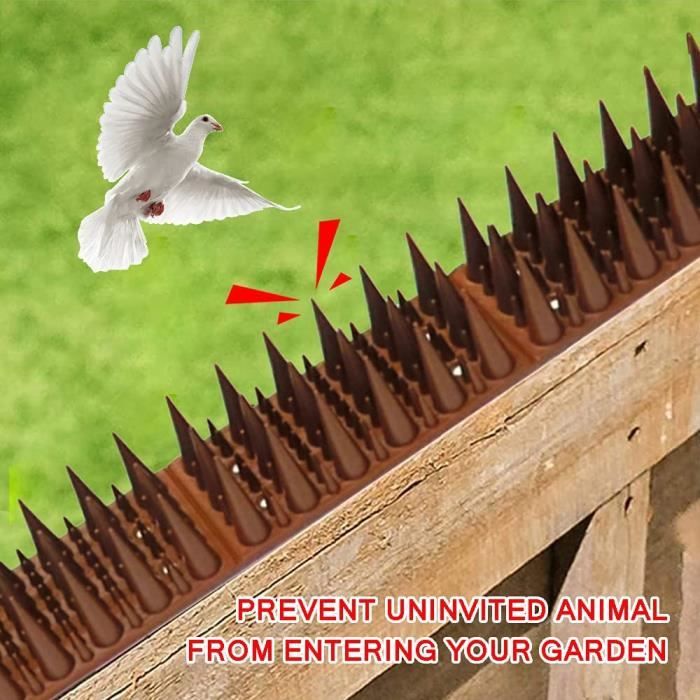 Pointes de pigeons anti-oiseaux en acier inoxydable, répulsif anti-oiseaux,  dissuasif pour balcon, kit de clous d'épine anti-oiseaux, 12 pièces
