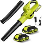 PRUMYA Souffleur de feuilles sans fil 3000 W - Double autonomie de batterie 21 V - Compatible avec les batteries Makita 18 V