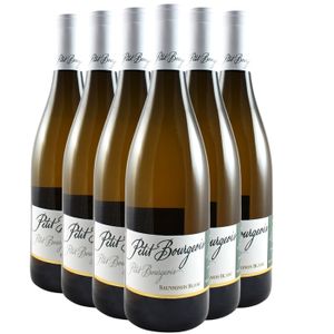 VIN BLANC Henri Bourgeois Petit Bourgeois Sauvignon 2022 - Vin de France - Vin Blanc (6x75cl)