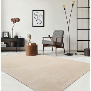 TAPIS DE SOL Tapis pour le salon ou la chambre en beige 80x300 cm | Rectangulaire | Lavable jusqu'à 30 degrés | Tapis LOFT de The Carpet
