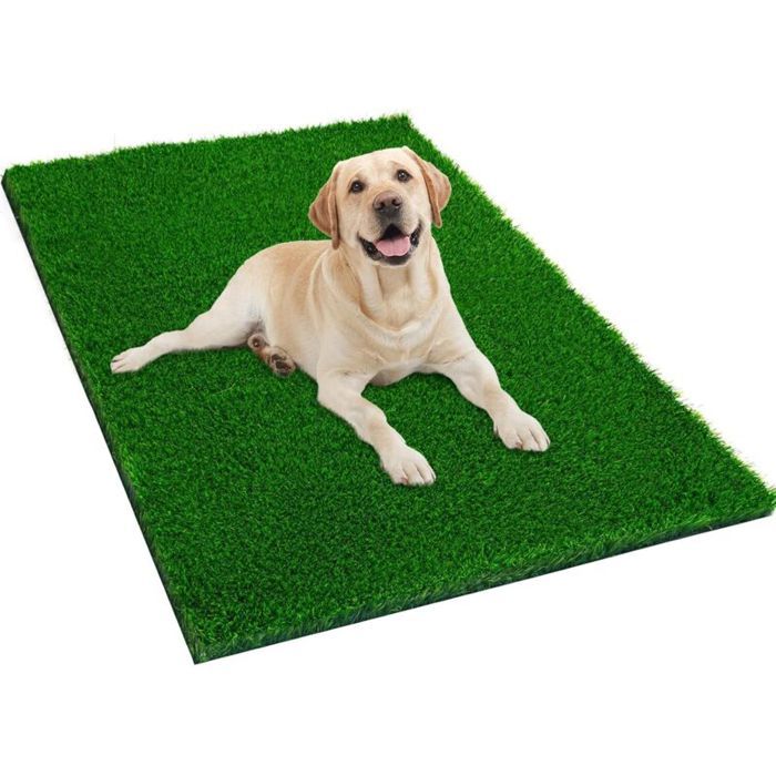 Tapis durine pour chien - Unbrand - Vert - 40x60 cm - Gazon imitation - Intérieur et extérieur - Facile à nettoyer