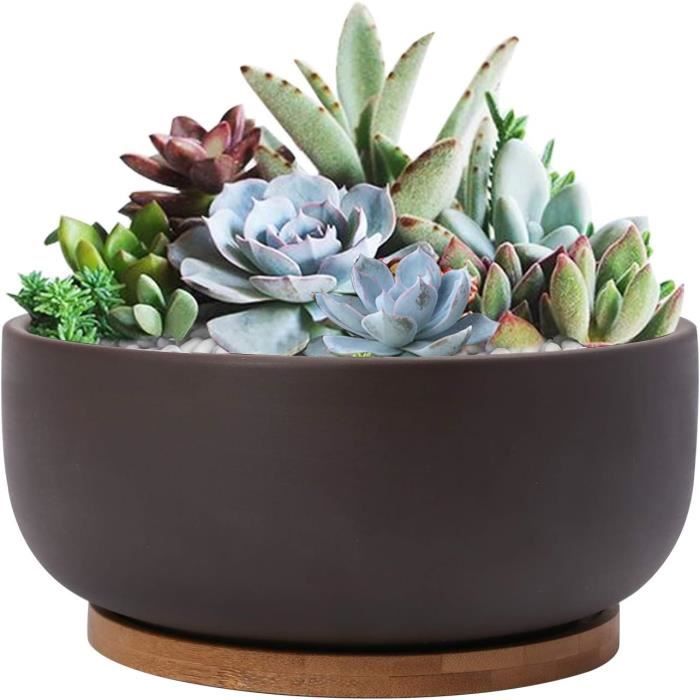 Lot De 100 Mini Pots De Fleurs En Terre Cuite Avec Trous De Drainage, Pour Cactus, Plantes Succulentes, Plantes Grasses D'intu00e9rieur Et D'extu00e9rieur