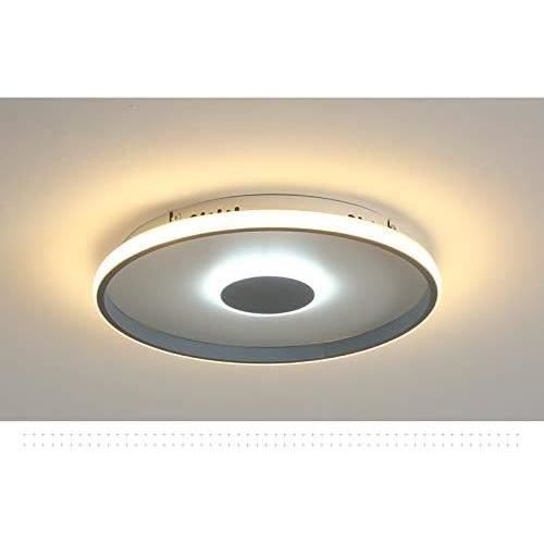 Plafonnier à LED 2127-12 100cm Avec Télécommande Couleur De La Lumière