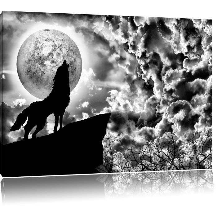 Monocrome Loup Hurlant A La Lune Format 100x70 Sur Toile Xxl