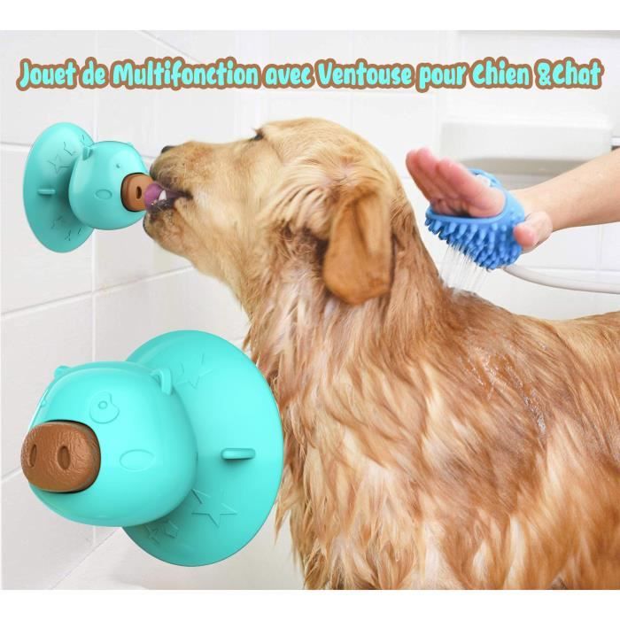 jouet friandise pour chien