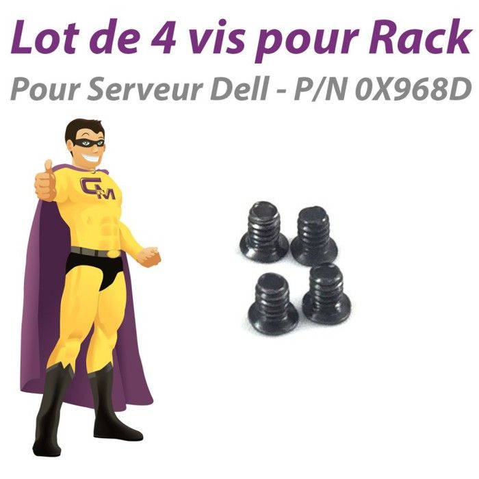 Dell Lot x4 Vis - vue 2