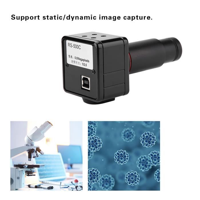 Oculaire Électronique Microscope Pwshymi 92MP - Capteur 1/3" - Pour Mesure Et Salle De Classe