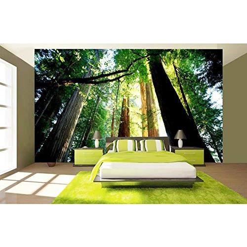 Téléchargement gratuit Images Peinture Murale Personnaliser Salon Papiers Peints P Sage dernière par