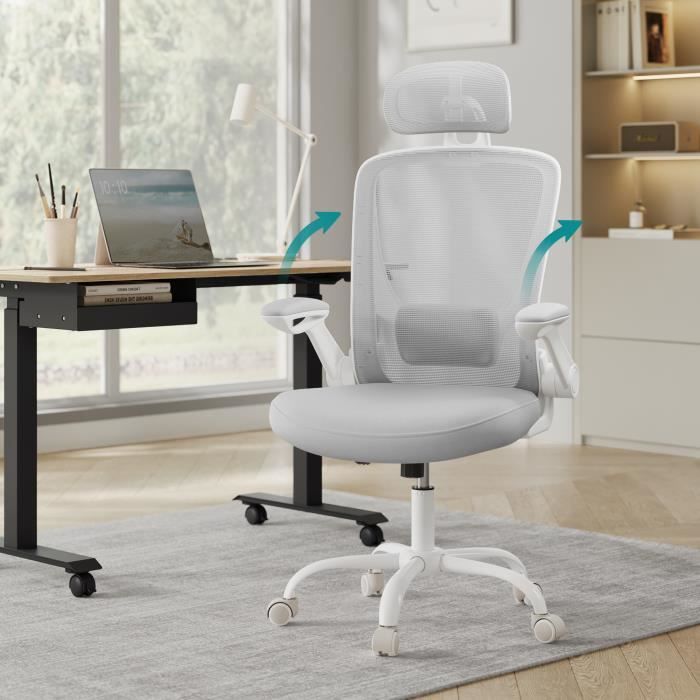 Chaise de Bureau Ergonomique Tissu en Maille Support Lombaire Appui-tête Mécanisme à Bascule Accoudoirs Rabattables Gris