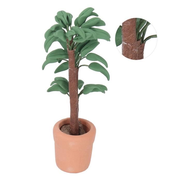 Des Mini Bonzaï – La Boite Verte