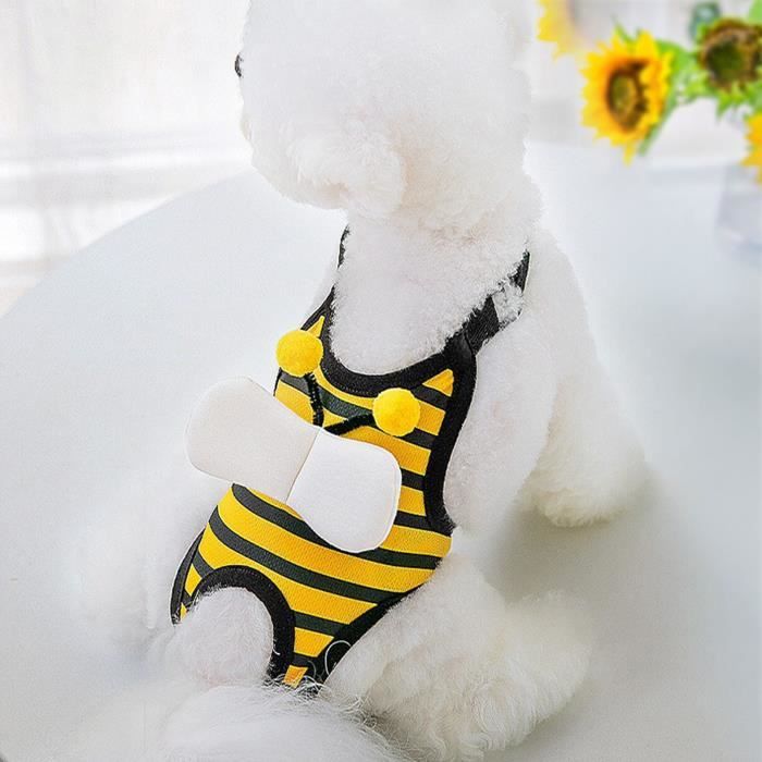 Meilleurs prix pour couche pour chien lavable incontinent animaux pantalon sanitaire physiologique hygiène (L) BigBen