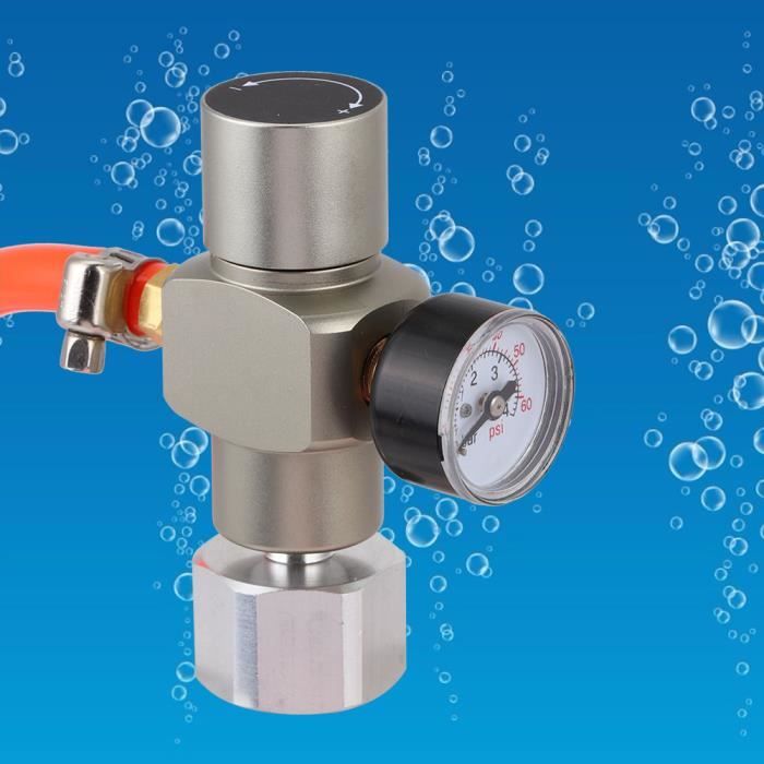 Régulateur de pression de CO2, 2 en 1 Mini régulateur de gaz CO2 Manomètre de soude avec