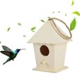 Grande maison Dox Maison d'oiseau Maison d'oiseau Boîte à oiseaux Boîte à oiseaux Boîte en bois j186-2