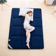 MATELAS FSYGZJ Matelas Pliable IKEA Adulte Thicken Tatami Respirante Confort Portable Matelas futon invit&eacute; Tapis de Sol P262-2
