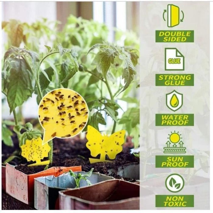 Autocollants Jaunes Anti-Mouches Jalawango - Lot De 60 - Piège Naturel Plantes D'Intérieur