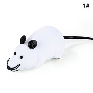 Souris Telecommandee Pour Chat Cdiscount