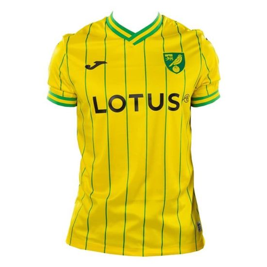Maillot de foot Liechtenstein domicile 2022/23 - Errea