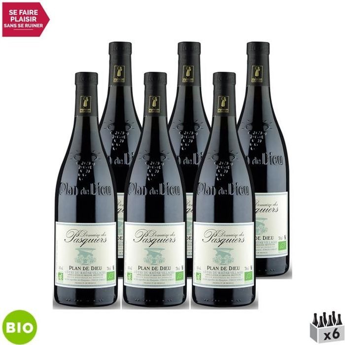 Côtes du Rhône Villages Plan de Dieu Rouge 2020 - Bio - Lot de 6x75cl - Domaine des Pasquiers - Vin AOC Rouge de la Vallée du Rhône