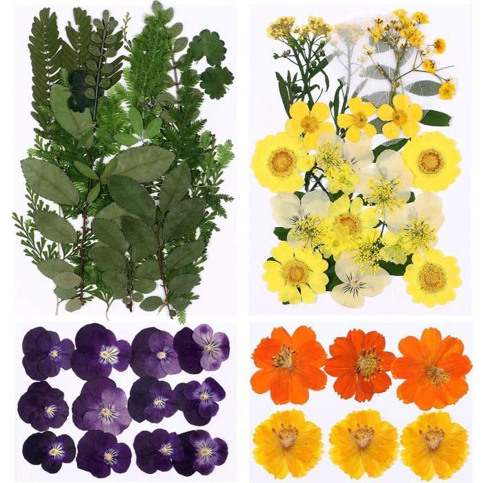 20 Types Fleurs Séchées Naturelles 10g – Idéal Pour Bougies, Résine, Savon & Bijoux DIY !