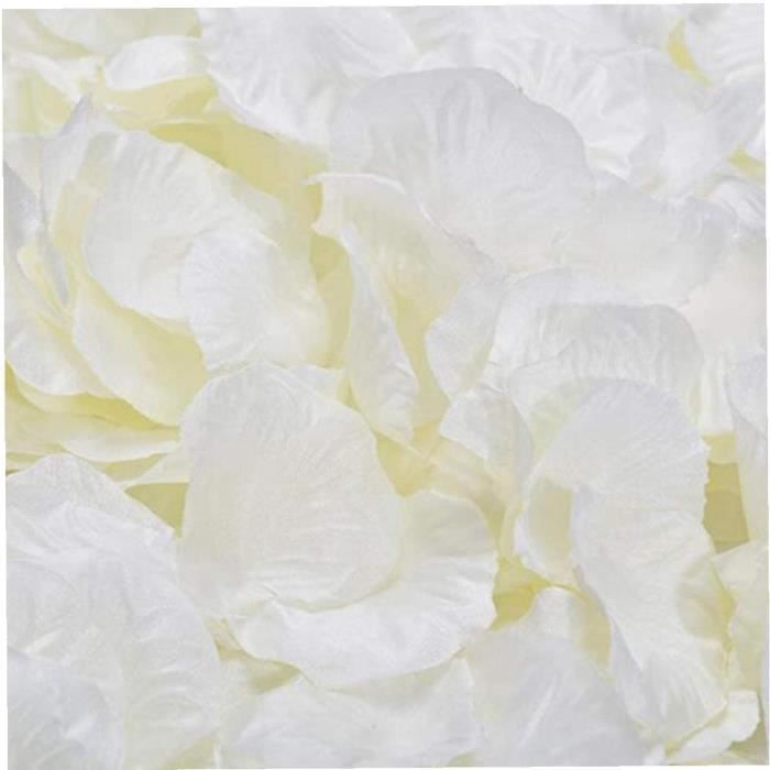 WOW 100PCS Pétales de rose blanche laiteux Mains Bouquets mariage fausse  Table fleurs artificielles séchées confetti - Cdiscount Maison