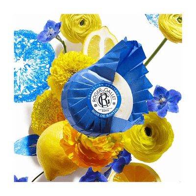 Lot De 3 Savons Roger & Gallet Au Bois De Santal – Neufs, Parfum Chaud Et Boisée
