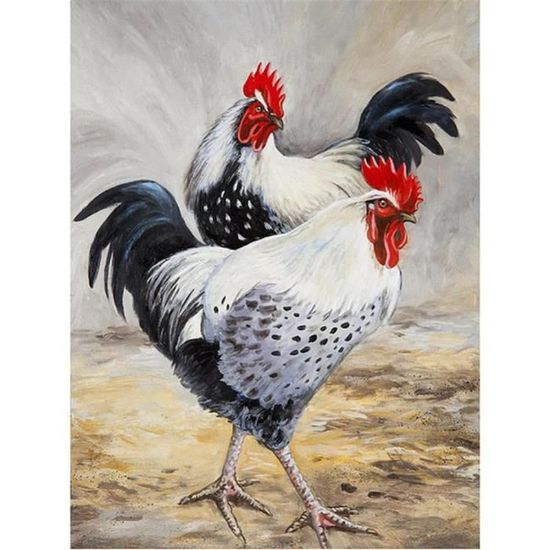 Kit Peinture Diamant 5D Coq - Toile 30x40 Cm - Art DIY Décoratif Salon Chambre