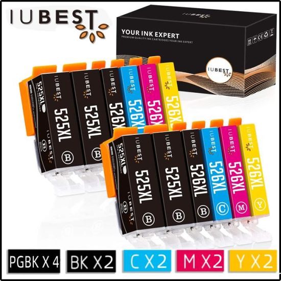 Pack De 10 Cartouches D'encre Compatibles Canon PGI525 CLI526 Pour Pixma MG5350 - Neuves