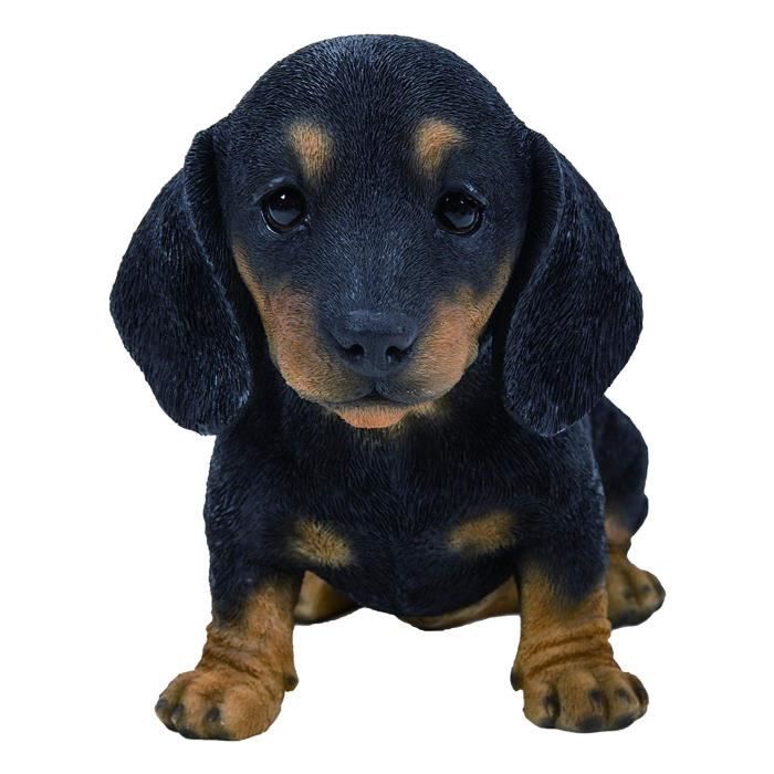 Vivid Arts Pet Pals – Noir-Marron Teckel Chiot Maison ou décoration de Jardin (PP-dach-f)