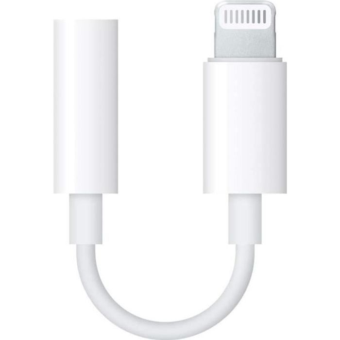 Adaptateur Lightning vers Mini Jack 3,5 mm pour Iphone - 4893441620984