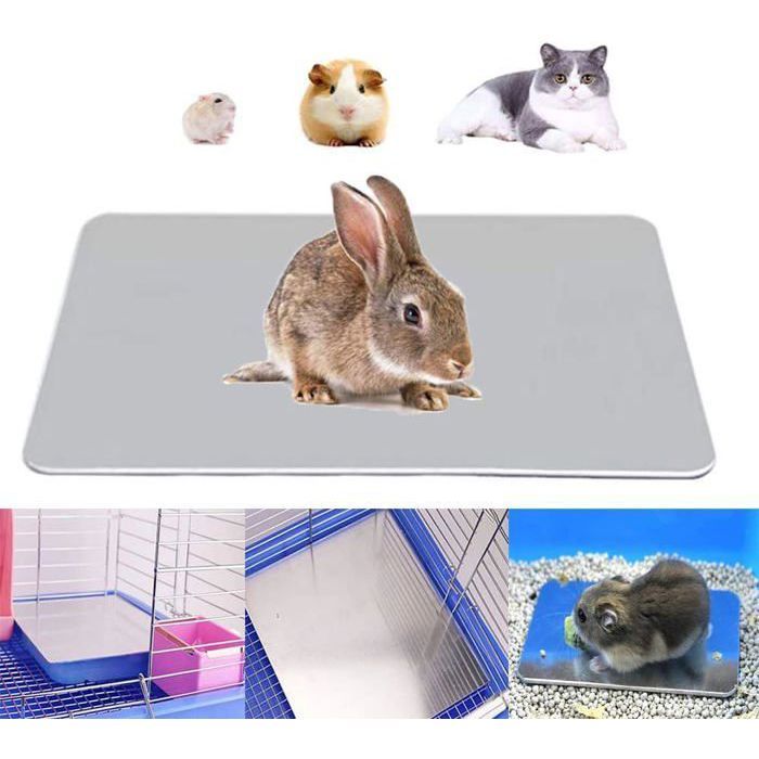 Meilleurs prix pour Tapis de refroidissement pour lapin, coussin de glace de refroidissement pour hamster pour animaux de compagnie en aluminium pour