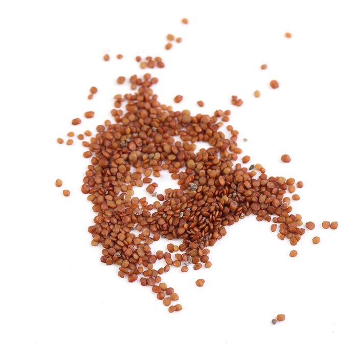 Comparer les prix de Plantes aquatiques pour aquarium, graines d'herbe, décoration de paysage (petite feuille)