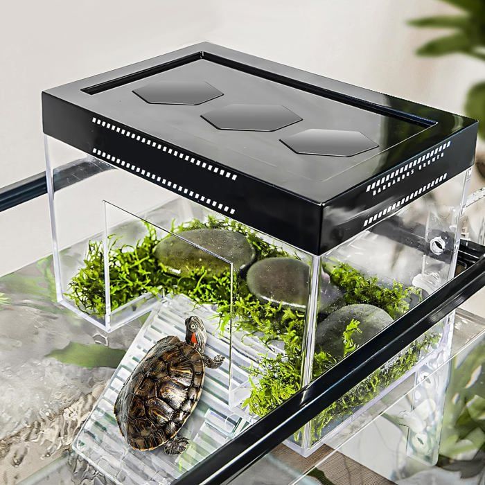 Plateforme Réglable Hauteur Rampe Couvercle 25 x 16 x 16 cm PC Transparent pour Aquarium Terrarium Bébé Tortues Terrestres Lézard