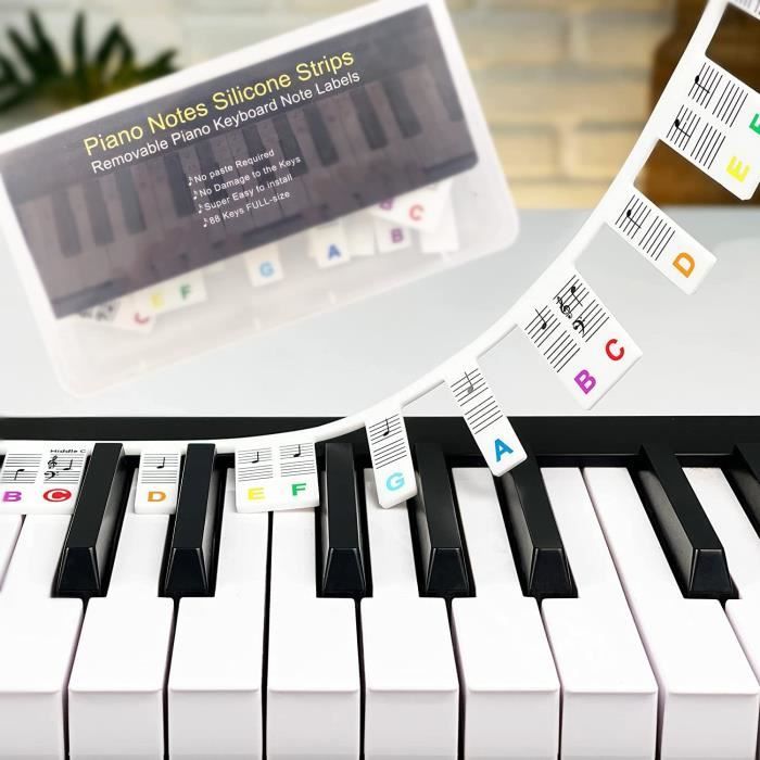 Acheter Étiquettes de notes de clavier de Piano, 88 touches/61 touches,  Guide de Notes de Piano amovible pour débutant, autocollant de Notes de  musique